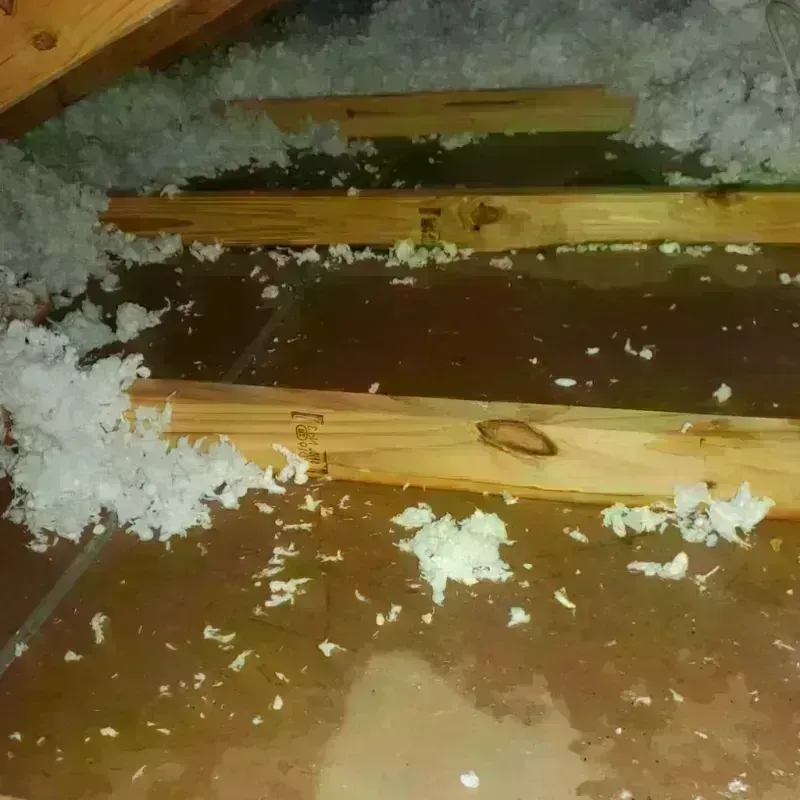 Attic Water Damage in Walnut Grove, MS